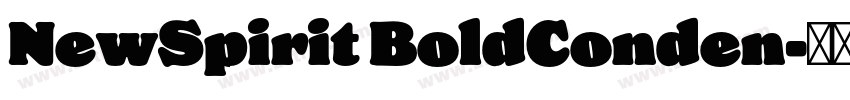 NewSpirit BoldConden字体转换